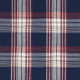 Blue and Red Plaid