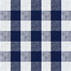 Dark Blue White Gingham