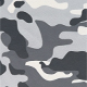 Gray Camo