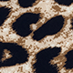 Gold Leopard Print