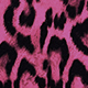 imprimé léopard noir et fuchsia
