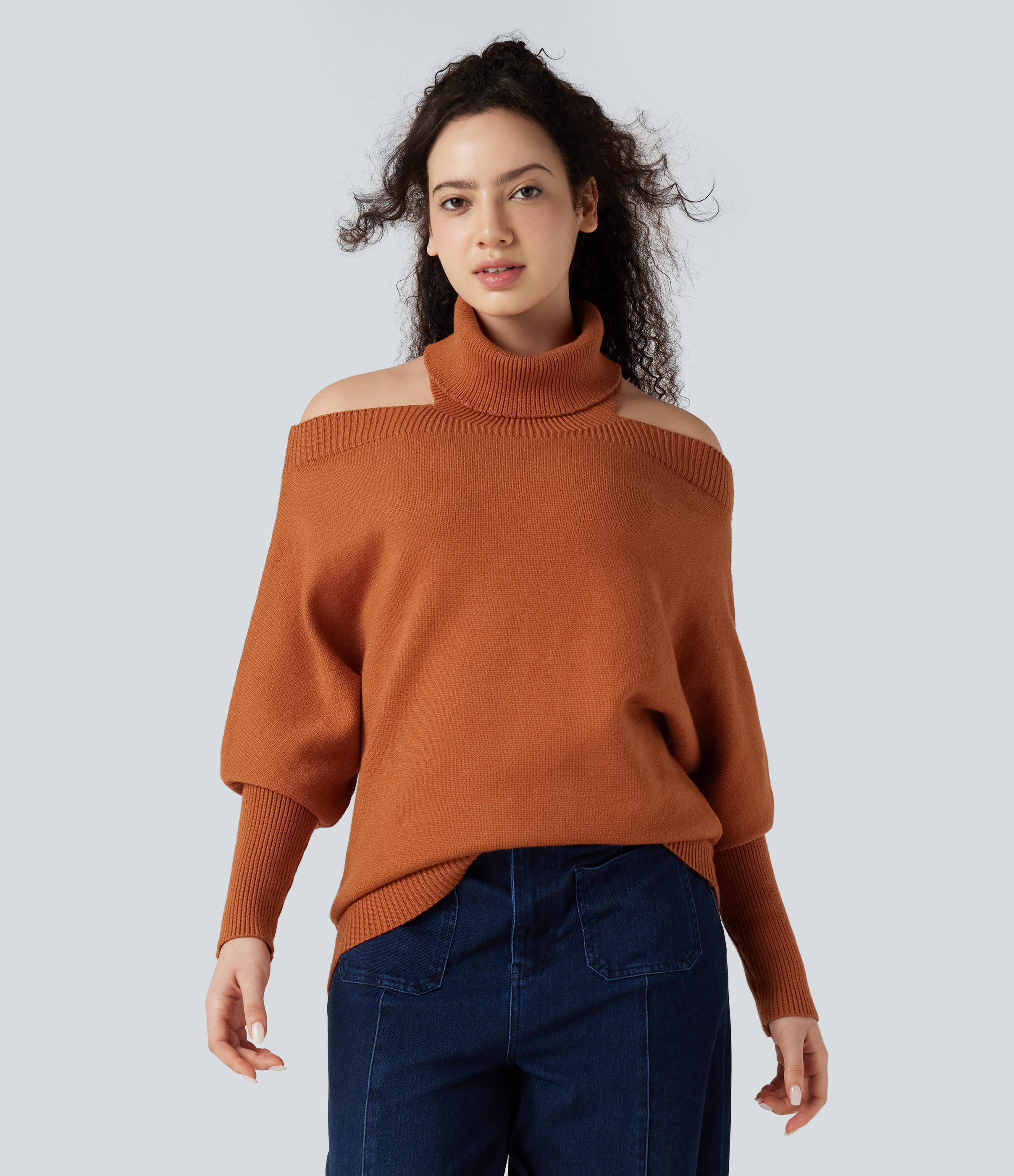 Rust Off Shoulder High-neck Batwing Long Sleeve Casual Jumper / 2