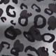 Mist Grey Leopard