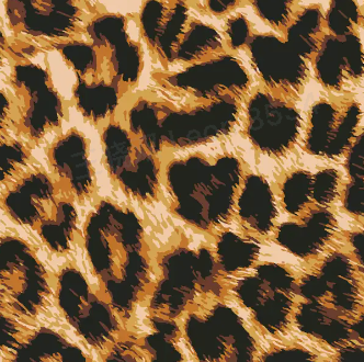 Classic Leopard Denim