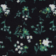 Midnight Sprig Black