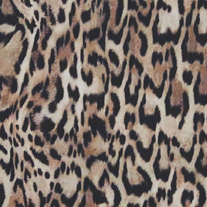 Sahara Smoke Leopard
