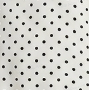 Ziloņkaula šarma punkts