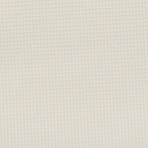 Buttermilk White