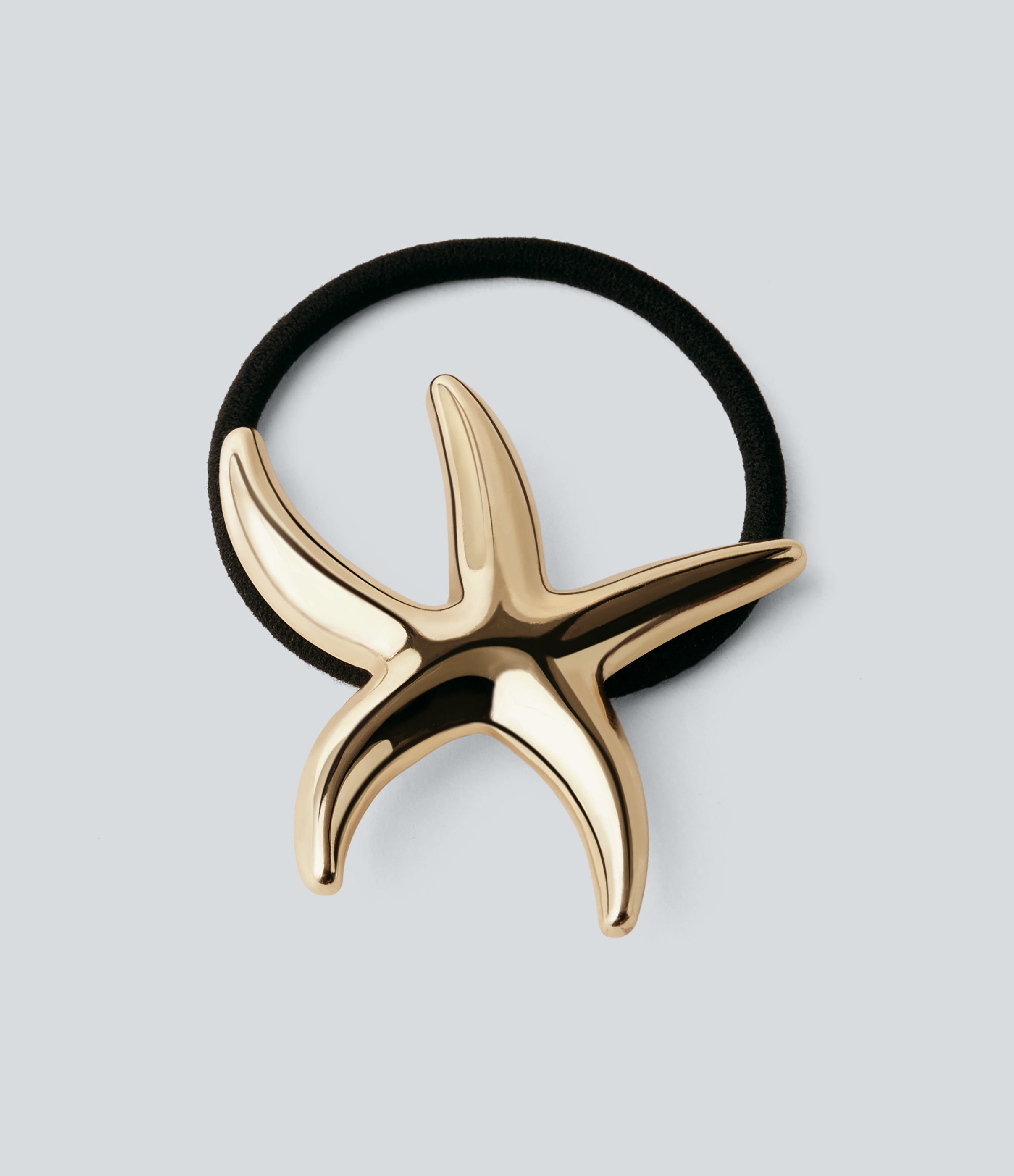 Coletero metálico con forma de estrella de mar