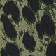 Olive Noir