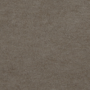 Apricot Flower Gray